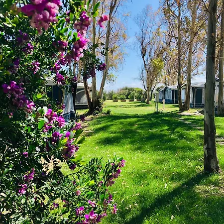 Cala D'ostia * 풀라