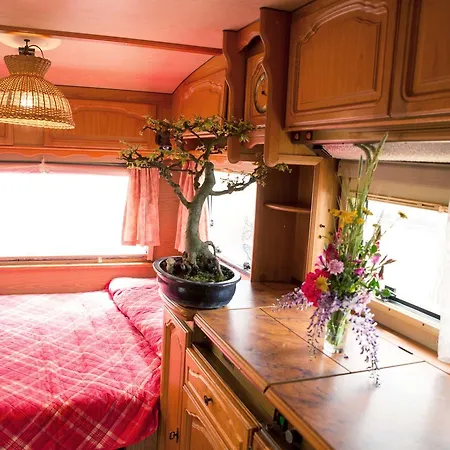 캠프장 Cala D'ostia 풀라