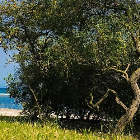 مكان تخييم Cala D'ostia بولا