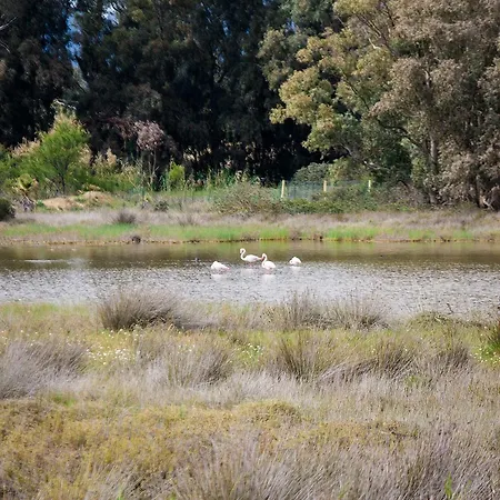 Cala D'ostia * 풀라