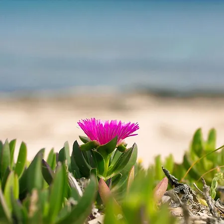 Cala D'ostia *