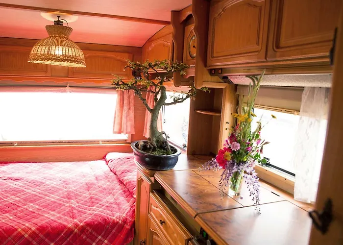 キャンプ場 Cala D'ostia プーラ