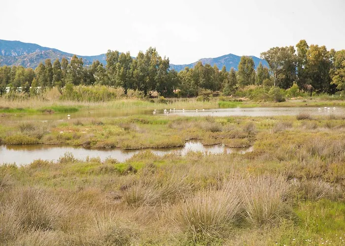 Campsite Cala D'ostia *