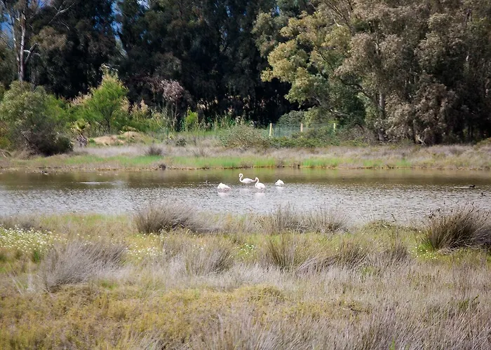 Cala D'ostia * プーラ