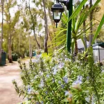 Camping Cala D'ostia *