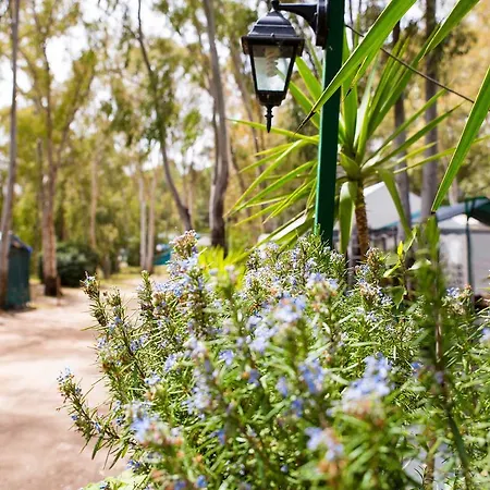 Campsite Cala D'ostia *