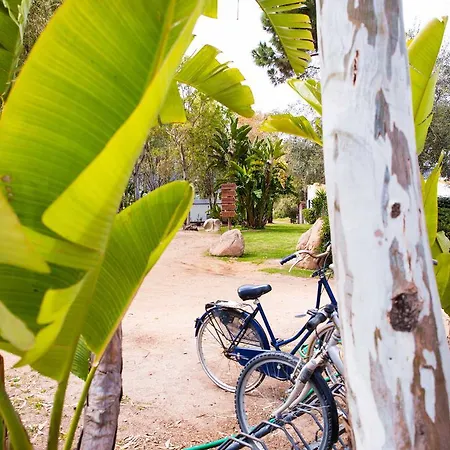 Cala D'ostia Κάμπινγκ Pula