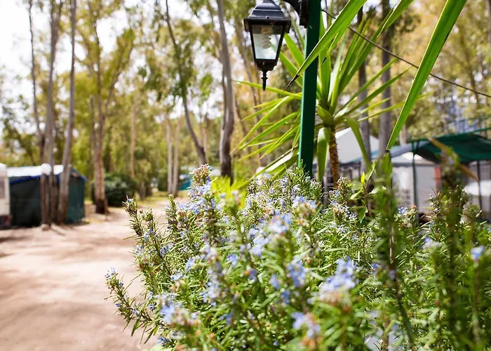 Camping Cala D'ostia *